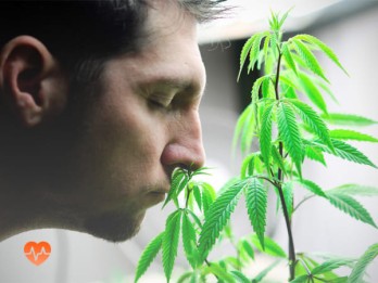 Детоксикация от марихуаны в ВАО Москвы